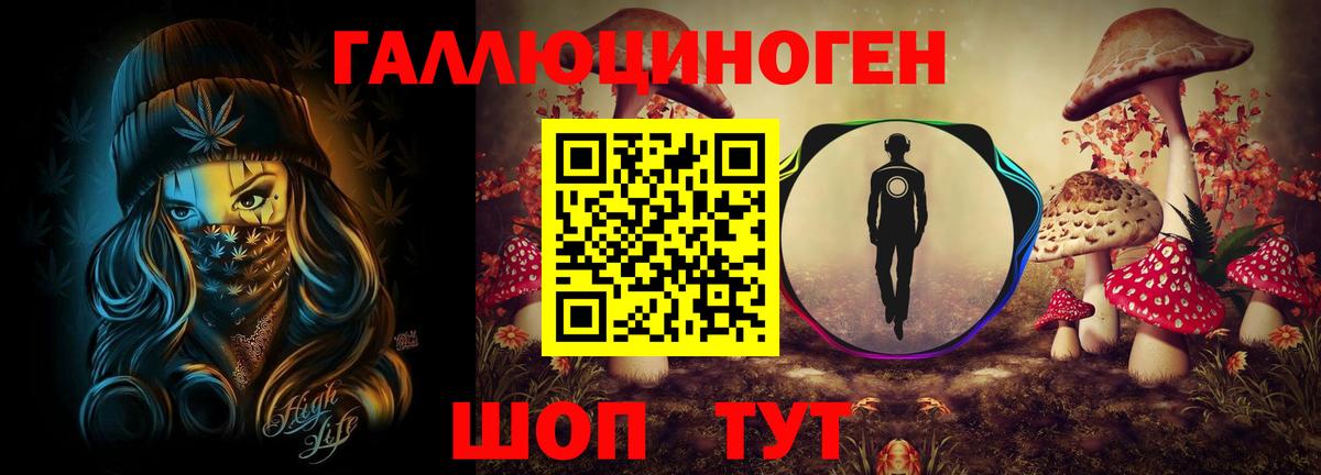 Людиново  Псилоцибиновые грибы Psilocybine cubensis  Псилоцибиновые грибы Cubensis  Вход с VPN 
